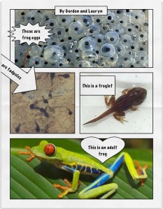 Gordon_and_lauryn_frog