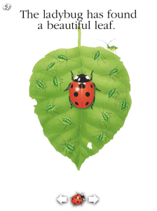 ladybug leaf