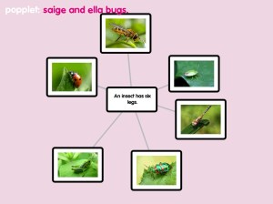 saige and ella popplet